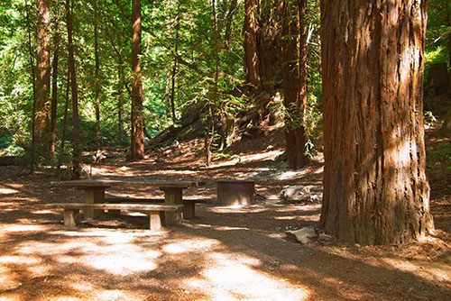 Camping Pfeiffer Big Sur