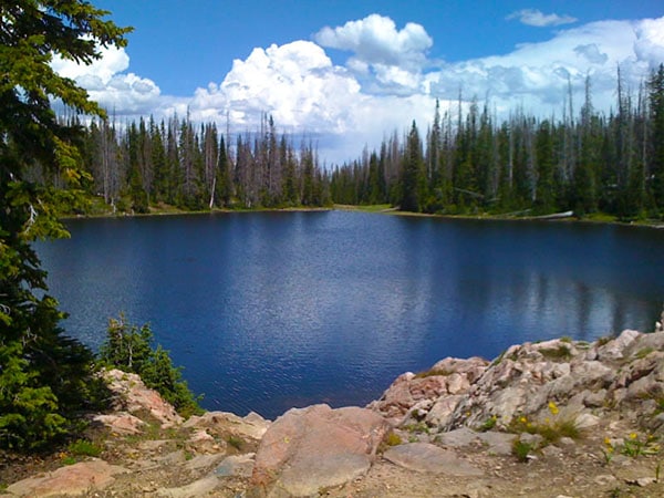 Camping Buffalo Pass Colorado