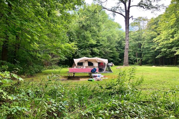 Macedonia Brook State Park - Camping în Kent, Connecticut