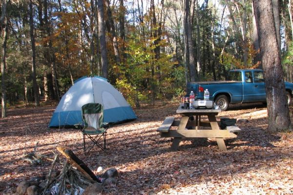 Pădurea de stat Pachaug - Camping Voluntown din Connecticut