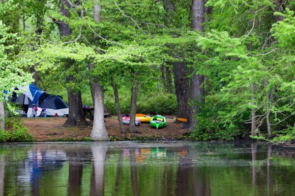 Parcul de stat Trap Pond - Laurel-Camping în Delaware