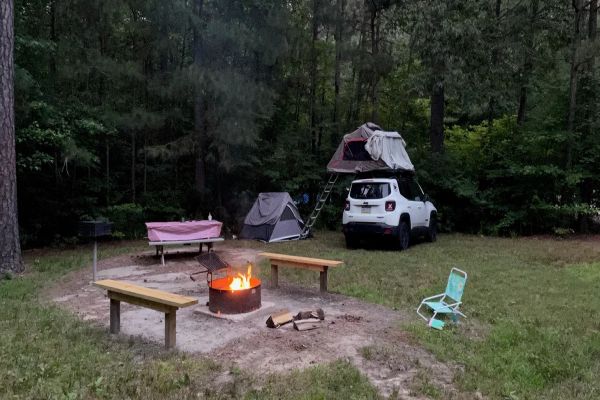 Redden State Forest - Georgetown-Camping în Delaware