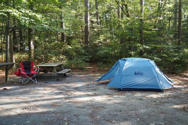 Pădurea de stat Pocomoke - Laurel-Camping în Delaware