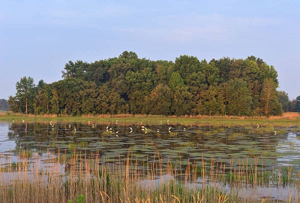 Bombay Hook National Wildlife Refuge - Smyrna-Camping în Delaware