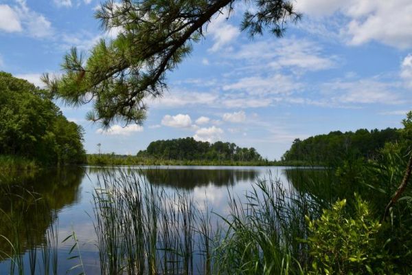 Prime Hook National Wildlife Refuge - Milton-Camping în Delaware