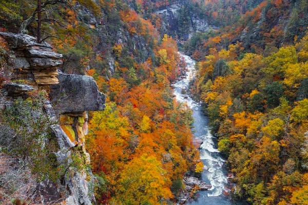 Camping în Tallulah Gorge