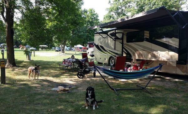 Tabăra-Resort Jellystone Park a ursului Yogi - Millbrook-Camping în Illinois