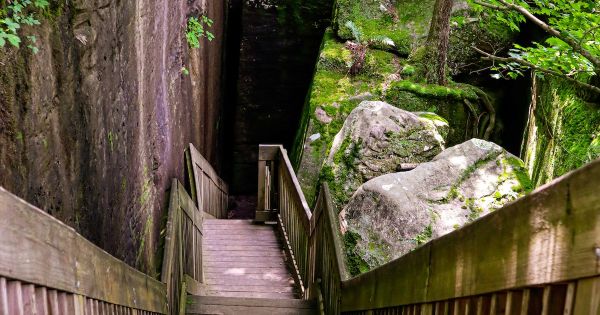 Pădurea Națională Shawnee - Traseul Național de Recreere Rim Rock-Camping în Illinois