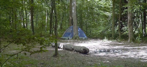 Cele mai bune locuri pentru a merge la camping în Indiana, Morgan-Monroe State Forest