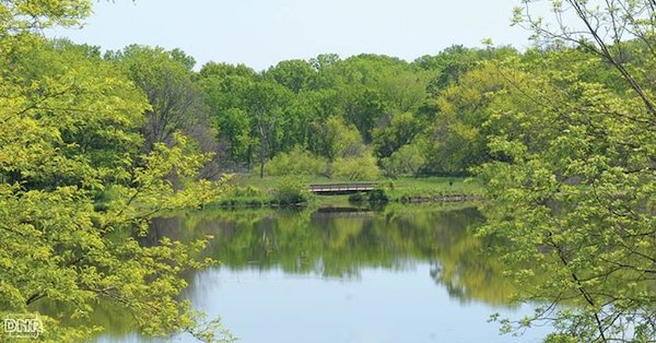 Camping la Darling Lake State Park din Iowa