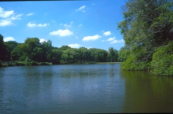 Cele mai bune locuri pentru camping în Iowa, zona de recreere de stat Lake Moquah