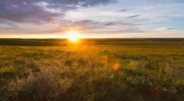 Rezervația Națională Tallgrass Prairie