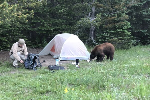 Siguranța în camping