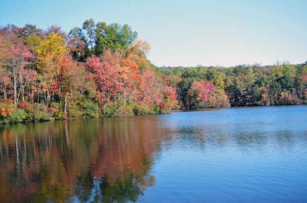 Parcul de stat French Creek