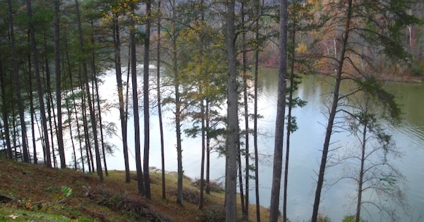 Camping Biddles Nature Area