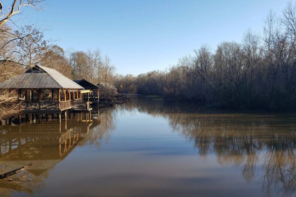 Lake_Fausse_Pointe_State_Park_St._Martinville Camping în Louisiana