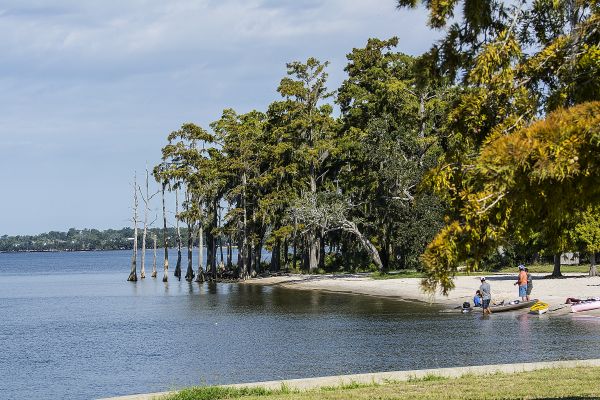 Parcul de stat Fontainebleau - Camping Mandeville Louisiana