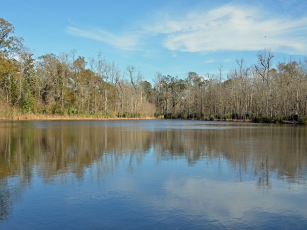 Parcul de stat Palmetto Island - Camping Abbeville Louisiana