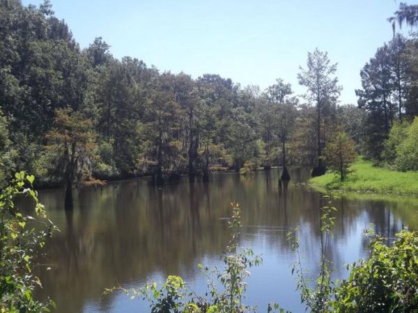 Catahoula National Wildlife Refuge - Camping Jonesville Louisiana