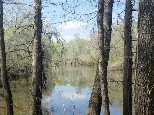 Saline Bayou - Winnfield Camping în Louisiana