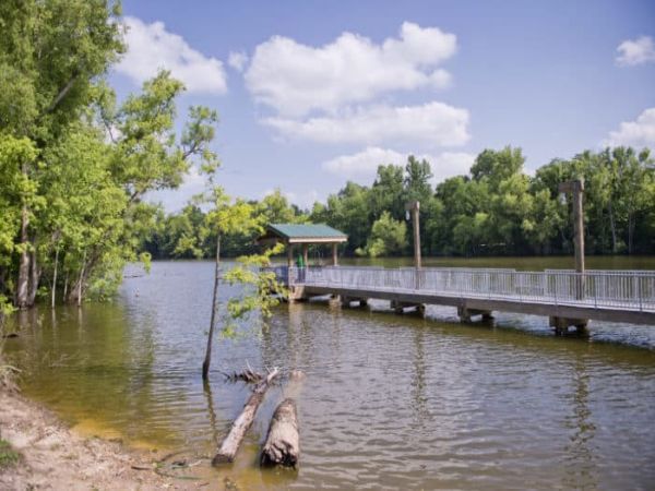 Zona de management al vieții sălbatice Sherburne - Camping Krotz Springs Louisiana