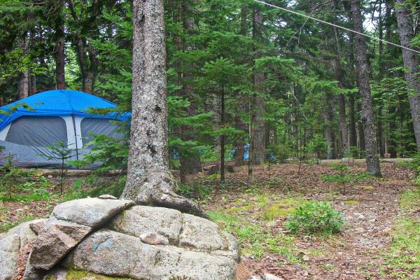 Camping Blackwoods - Parcul Național Acadia, Camping pe insula Mount Desert din Maine
