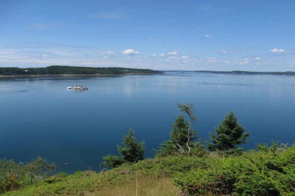 Parcul de stat Cobscook Bay - Camping Dennysville Maine