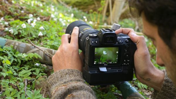 Sfaturi de stăpânire macrofotografie pentru fotografia de camping