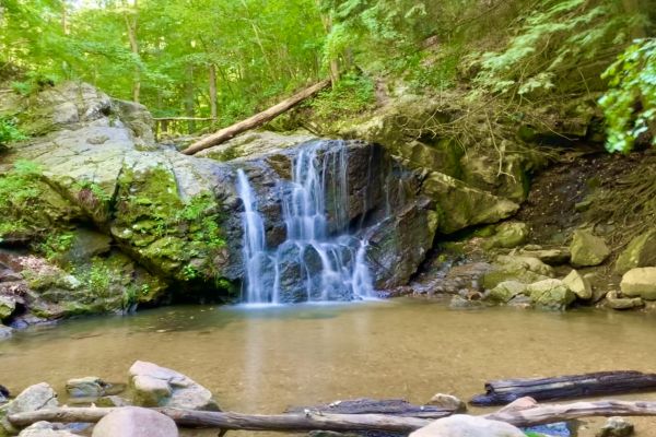 Parcul de stat Patapsco Valley - Ellicott City Camping în Maryland