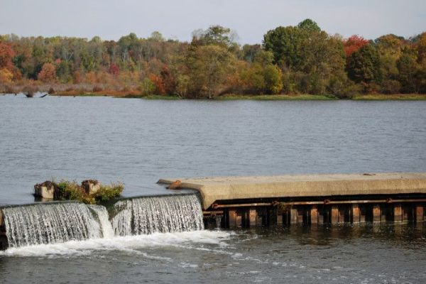 Parcul de stat Tuckahoe - Camping Queen Anne din Maryland