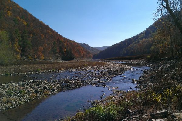 Pădurea de stat Savage River - Camping Grantsville Maryland