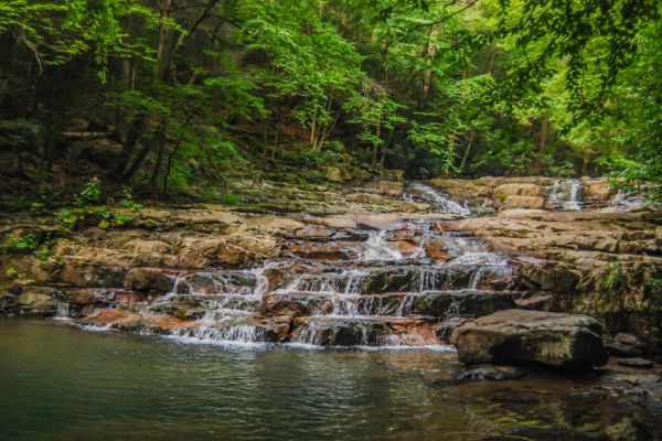 Pădurea de stat Potomac-Garrett - Camping Oakland în Maryland