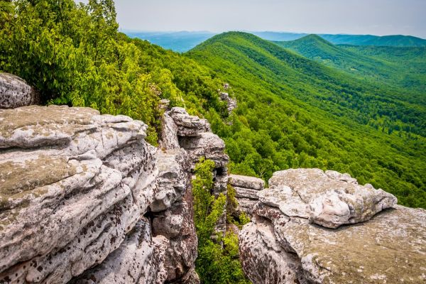 Pădurea Națională George Washington - Camping Hancock în Maryland