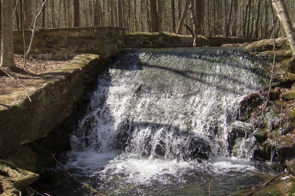 Pădurea de stat Michaux - Camping Cascada Maryland