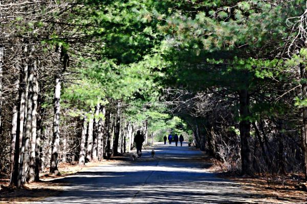 Parcul de stat Wompatuck - Camping Hingham din Massachusetts