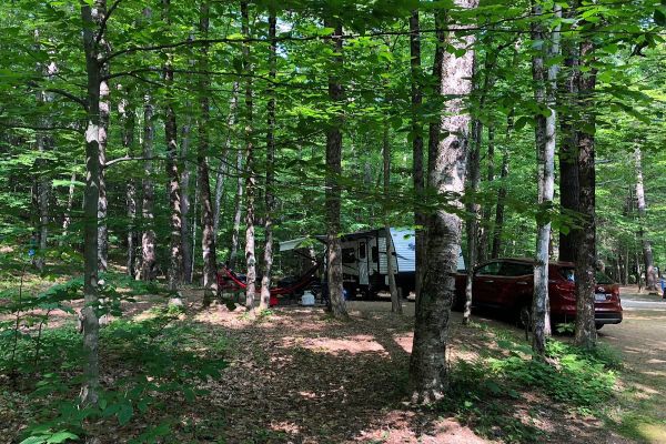 Pădurea de stat Mohawk Trail - Camping Charlemont în Massachusetts