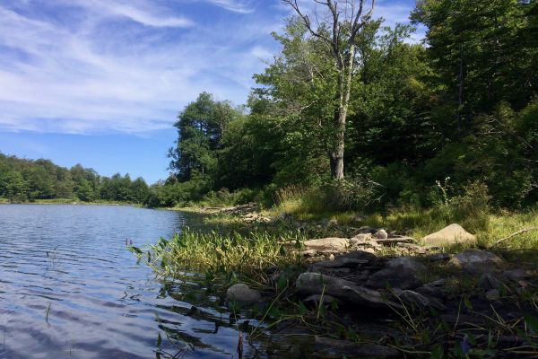 Octombrie Mountain State Forest - Lee Camping în Massachusetts