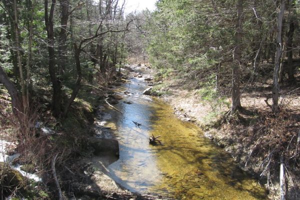 Savoy Mountain State Forest - Florida Camping în Massachusetts