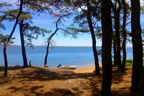 Rezervația Națională de Cercetare Estuarine din Golful Waquoit - Camping Falmouth în Massachusetts