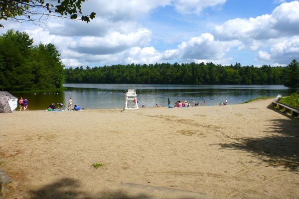 Pădurea de stat DAR - Camping Goshen din Massachusetts