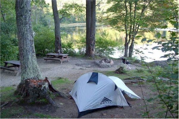 Pădurea de stat Beartown - Campground Monterey Massachusetts