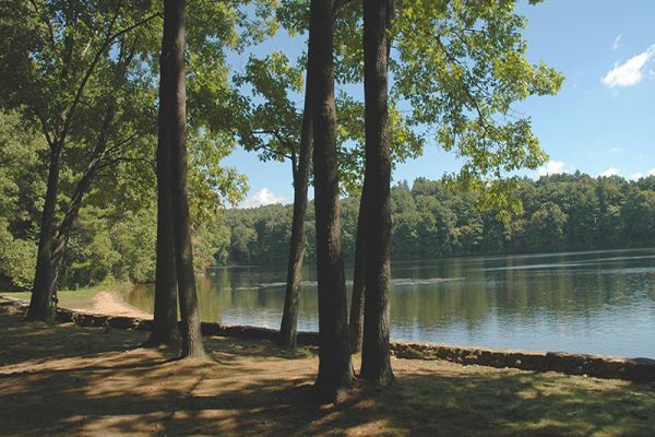 Parcul de stat Wells - Camping Sturbridge din Massachusetts