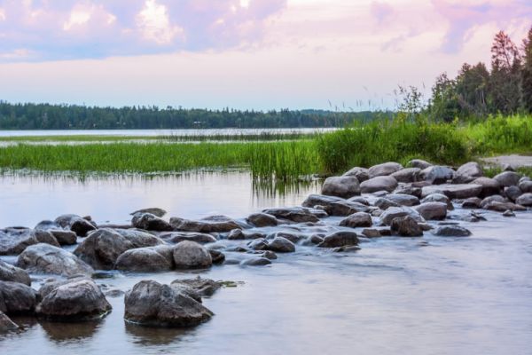 Parcul de stat Itasca - Camping Park Rapids din Minnesota