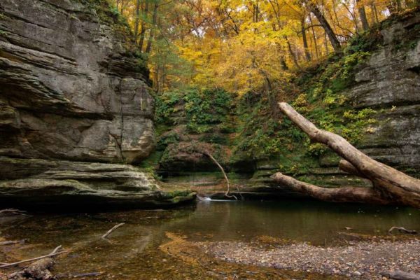 Whitewater State Park - Campground Altura din Minnesota