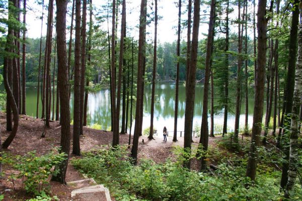 Parcul de stat Bear Head Lake - Ely Campground din Minnesota