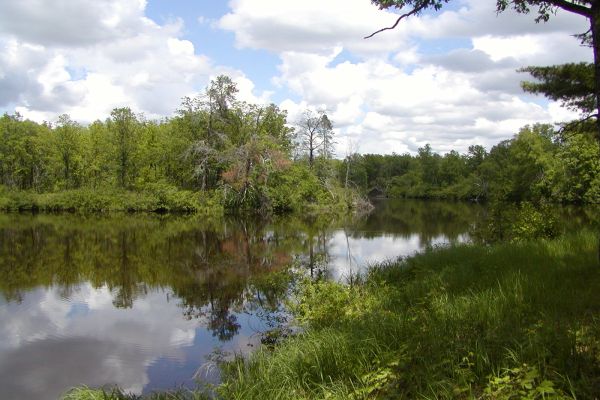 Pădurea de stat St. Croix - Camping Pine City din Minnesota