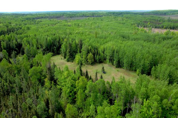 Pădurea națională Fond du Lac - Camping Cloquet din Minnesota