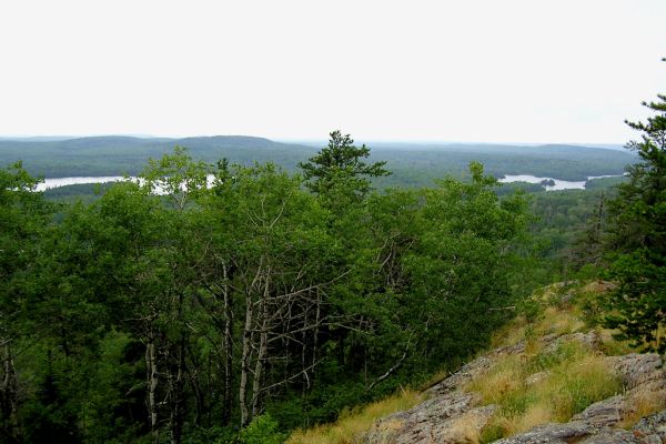 Pădurea națională superioară - Camping County Minnesota