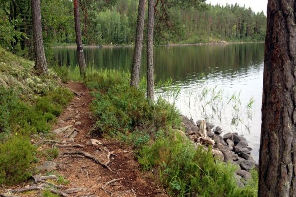 Finlanda National Forest - Camping în Finlanda în Minnesota