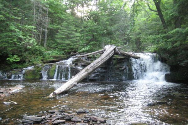 Pădurea de stat Sturgeon River - Camping Hibbing Minnesota